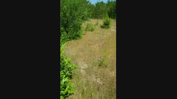 elblover  08-06-2023 Recorded Video beautiful