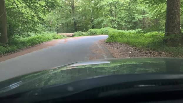 geilerjung69  07-06-2023 Recorded Video jackoff