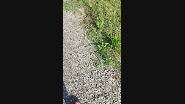 submarine3  07-06-2023 Recorded Video prettyface