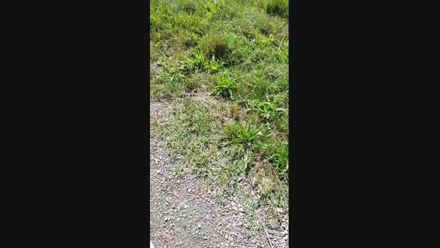 submarine3  08-06-2023 Recorded Video horny