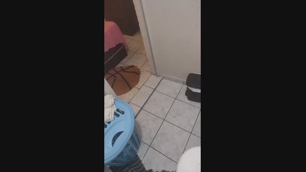 ale9594  08-06-2023 Recorded Video Show