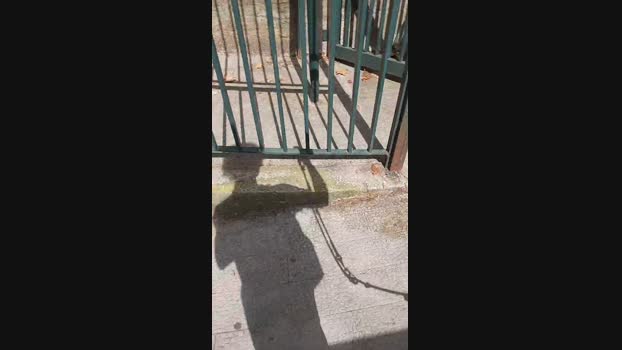 Lurio  10-06-2023 Recorded Video play