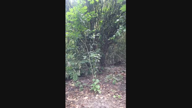 baby052  10-06-2023 Recorded Video lush