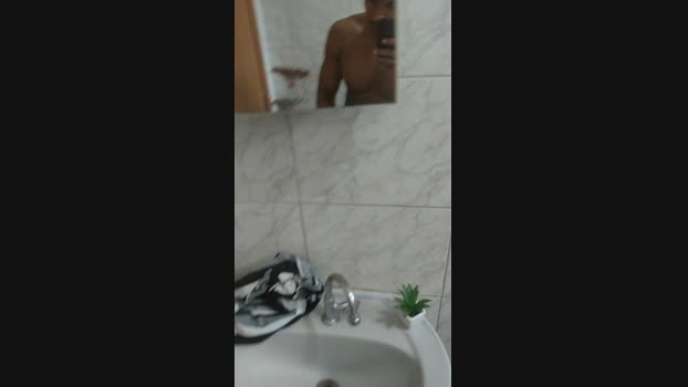 BayerPauzudo
