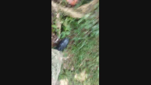 Lopeeee  10-06-2023 Recorded Video deepthroat