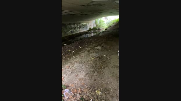 despacitofonsi  11-06-2023 Recorded Video bigballs