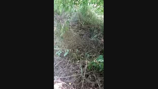 marcoroma57  11-06-2023 Recorded Video harddick