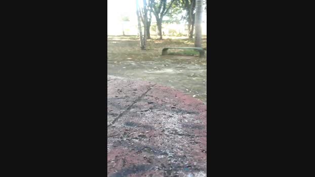 novinho_braz  11-06-2023 Recorded Video cute