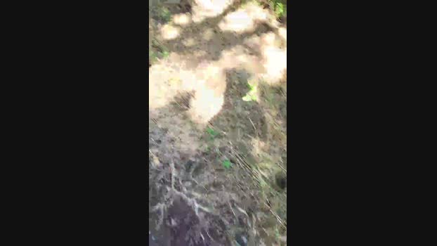 submarine3  11-06-2023 Recorded Video sweet