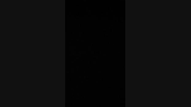 Lurio  11-06-2023 Recorded Video suck
