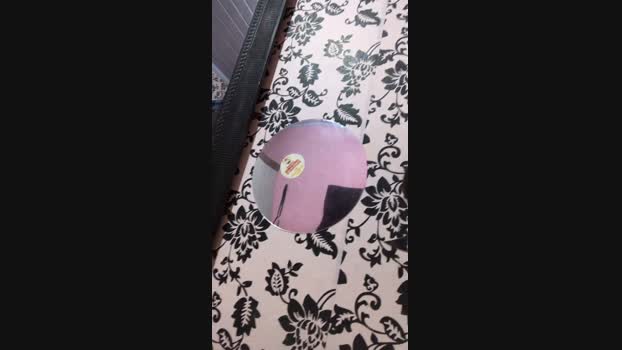 diegao20cm1  11-06-2023 Recorded Video Webcam