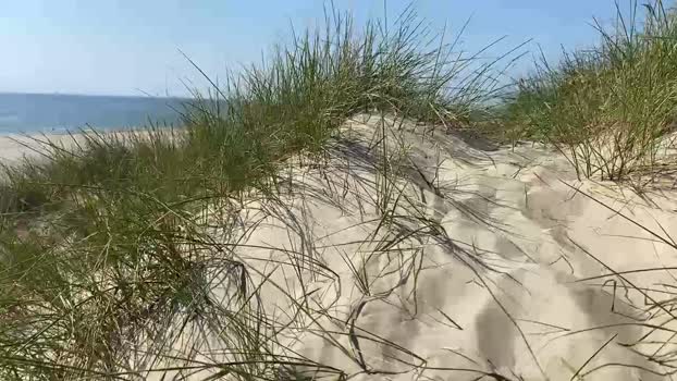 geilerjung69  12-06-2023 Recorded Video moan