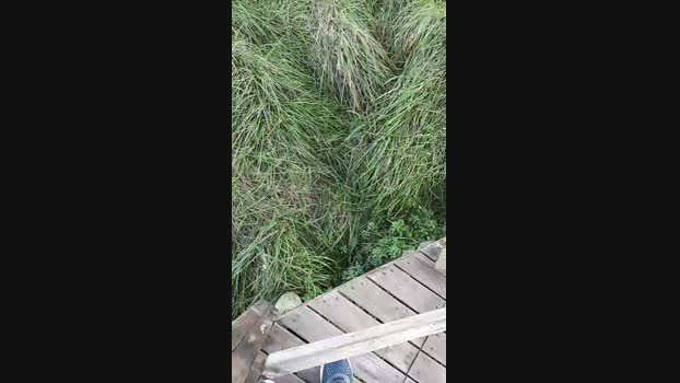 mardelplata  11-06-2023 Recorded Video jackoff