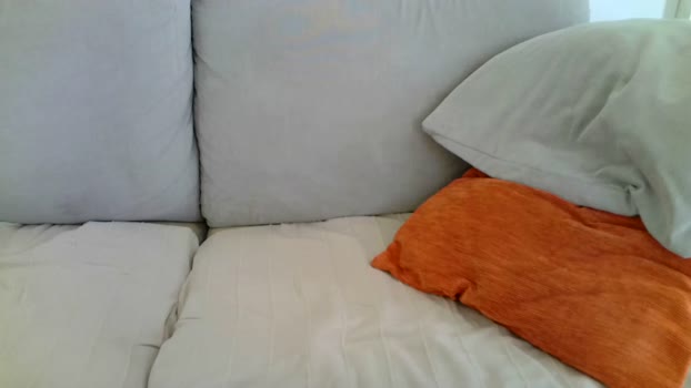 serafino94  12-06-2023 Recorded Video bigtoys