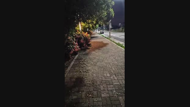 7PuPu  12-06-2023 Recorded Video gay