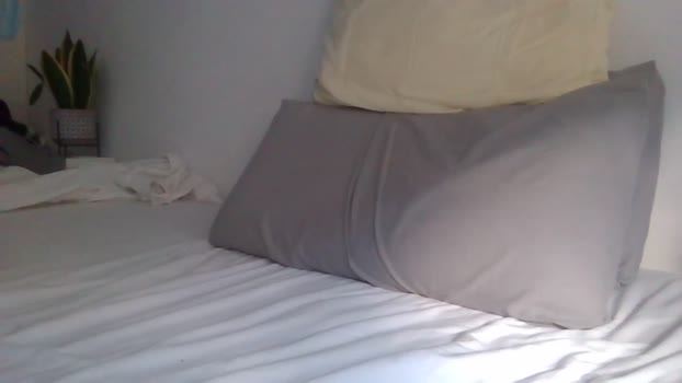 bmajo  13-06-2023 Recorded Video bigtoys