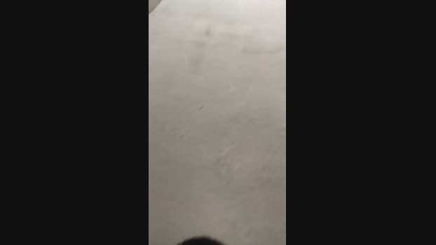 Curiososgl  14-06-2023 Recorded Video fuckhard