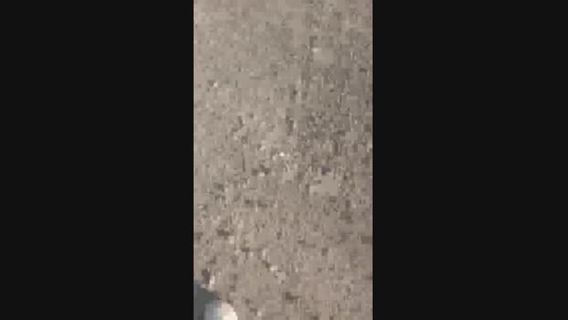 Laoquedad  14-06-2023 Recorded Video yummy