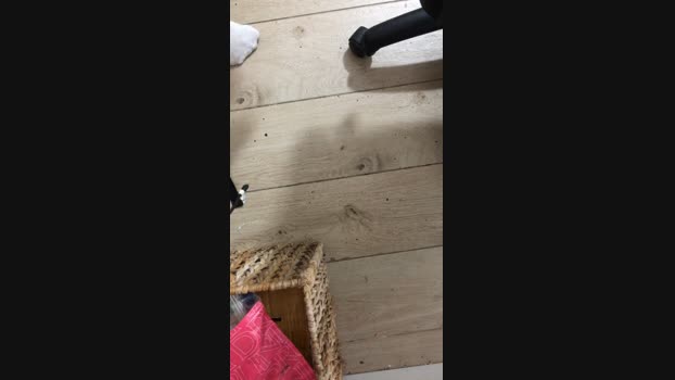 ericperez5  15-06-2023 Recorded Video Topless