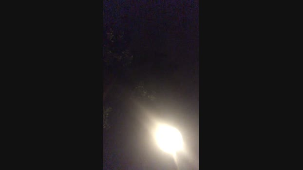 iak0380  14-06-2023 Recorded Video suck