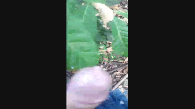 novinho_braz  15-06-2023 Recorded Video prettyface