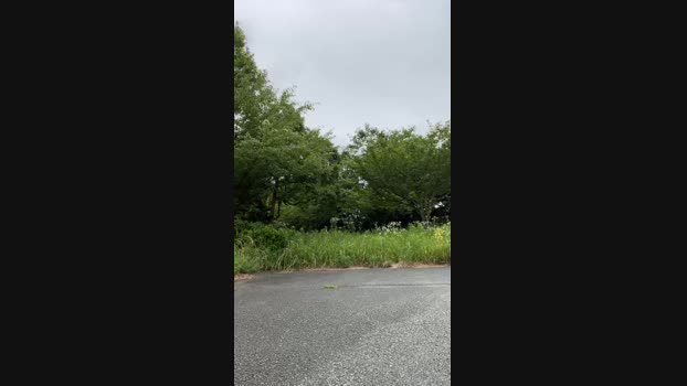 takahisa  14-06-2023 Recorded Video lush