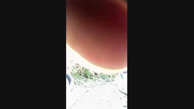 picoletrasgr  16-06-2023 Recorded Video legs