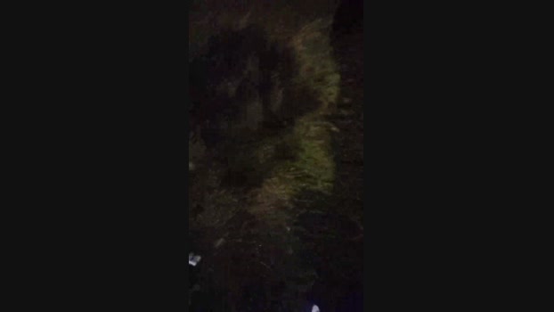 Chocolatespzn2  16-06-2023 Recorded Video skinny