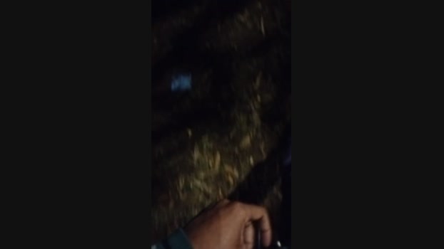 Chocolatespzn2  16-06-2023 Recorded Video cute