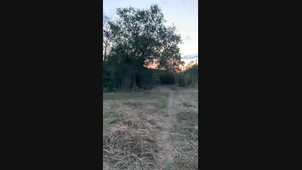 danicloud1  16-06-2023 Recorded Video amateur