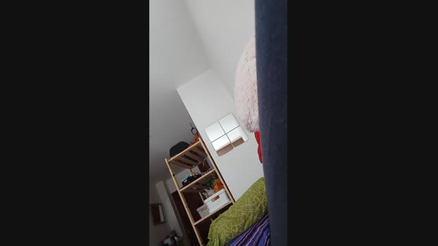 man_20c  17-06-2023 Recorded Video cute