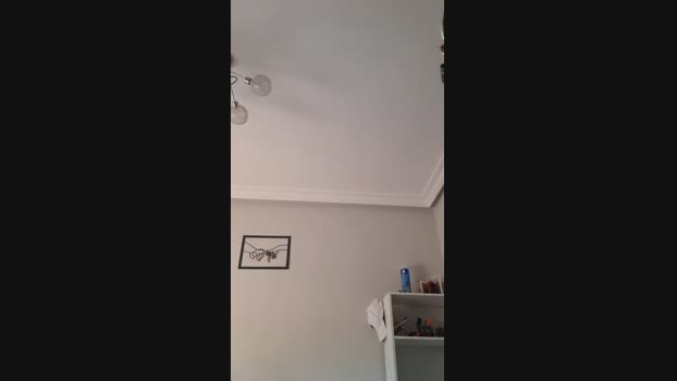 SandraJorge2hot  17-06-2023 Recorded Video jerkoff