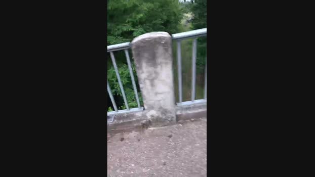 thomas954  17-06-2023 Recorded Video deep