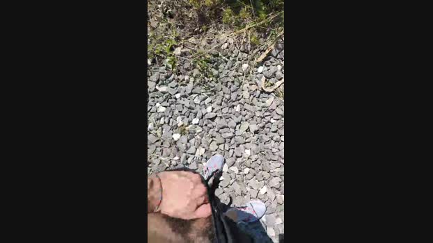 coppia2829  19-06-2023 Recorded Video fuckface