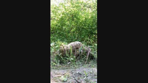 picoletrasgr  19-06-2023 Recorded Video legs