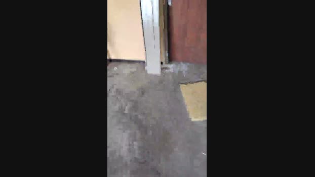 publicexib1  19-06-2023 Recorded Video sexy
