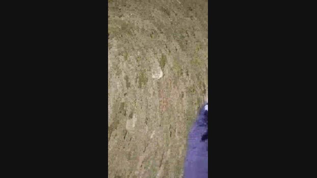 Chocolatespzn2  19-06-2023 Recorded Video analsex
