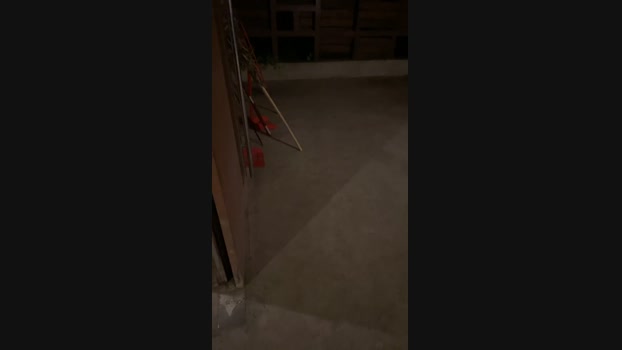 Foxfox07  20-06-2023 Recorded Video beautiful