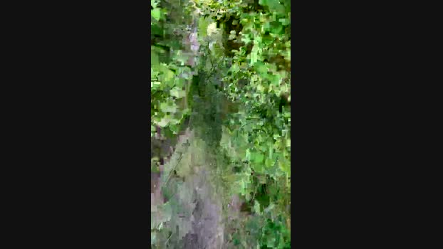 SpontHan92  20-06-2023 Recorded Video Webcam