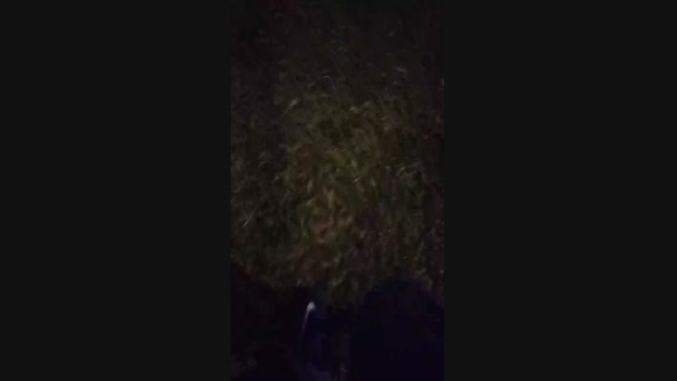 Chocolatespzn2  20-06-2023 Recorded Video cute