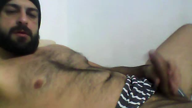 gatobarbudo87