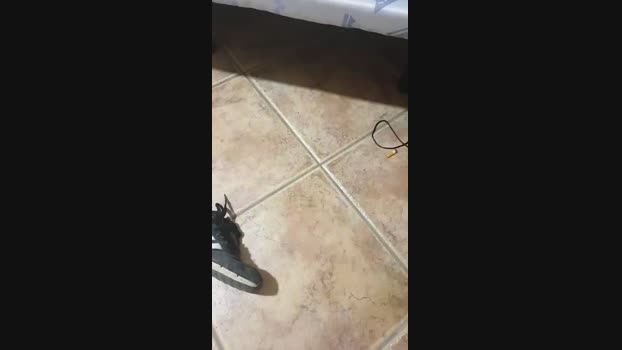 4pollaparati  21-06-2023 Recorded Video juicy