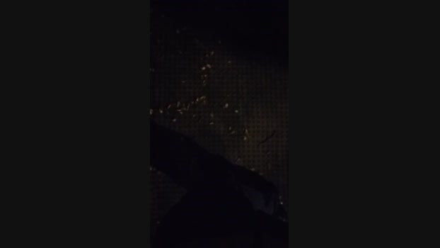 Chocolatespzn2  21-06-2023 Recorded Video deepthroat