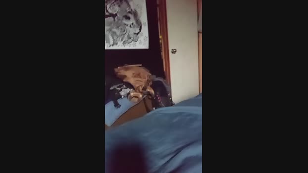 amaranto1  21-06-2023 Recorded Video nude