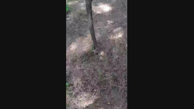 faraon47  22-06-2023 Recorded Video Cam