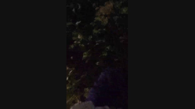 Chocolatespzn2  23-06-2023 Recorded Video sweet