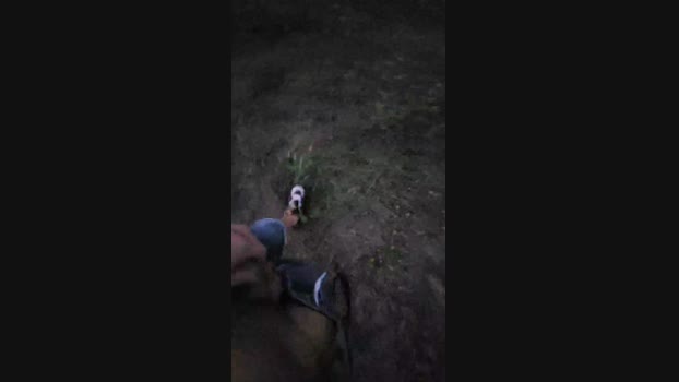 Tronko3  23-06-2023 Recorded Video bigload