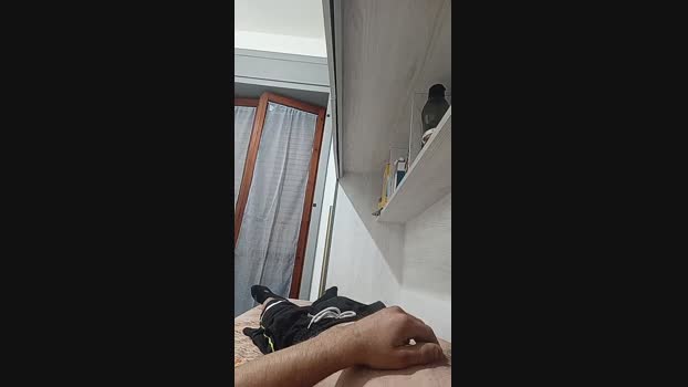 Lurio  24-06-2023 Recorded Video toys