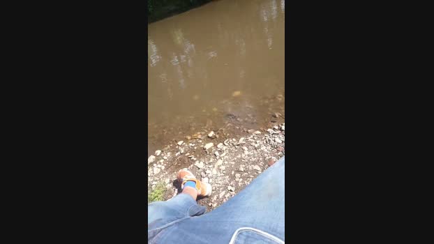 Schuh1040  25-06-2023 Recorded Video gag