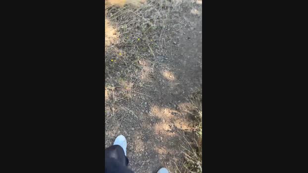 danicloud1  25-06-2023 Recorded Video strip